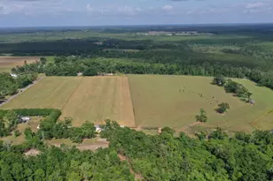 Lot 6 Hall Rd, Jay, FL 32565 - Photo 1