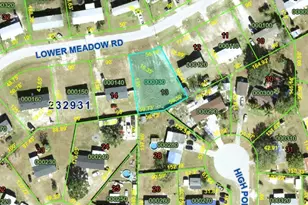 000 Lower Meadow Rd, Mulberry, FL 33860 - Photo 1