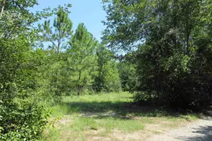 Chumuckla Hwy, Pace, FL 32571 - Photo 1