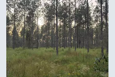 Lot 5 Wallace Lake Rd, Pace, FL 32571 - Photo 1