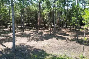 000 Falling Brook Ct, Pace, FL 32571 - Photo 1