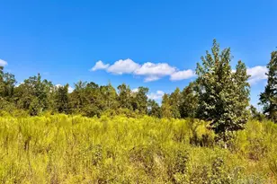 Lot 6C Cotton Lake Rd, Molino, FL 32577 - Photo 1
