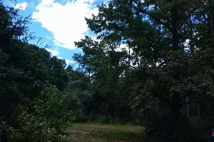 Tbd Hamilton Bridge Rd, Milton, FL 32570 - Photo 1