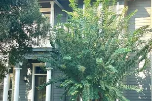 525 N Spring St, Pensacola, FL 32501 - Photo 1