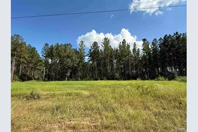 1359 Mineral Springs Rd, Jay, FL 32565 - Photo 1