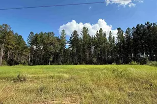 1359 Mineral Springs Rd, Jay, FL 32565 - Photo 1