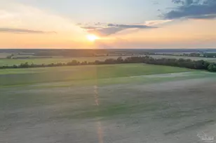 4260 Lost Bay Dr, Orange Beach, AL 36561 - Photo 1