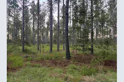 Lot 2 Wallace Lake Rd, Pace, FL 32571 - Photo 1
