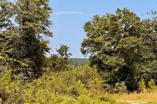 Lot 19 Morgans Branch, Molino, FL 32577 - Photo 1