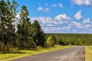 Lot 20 Morgans Branch, Molino, FL 32577 - Photo 1