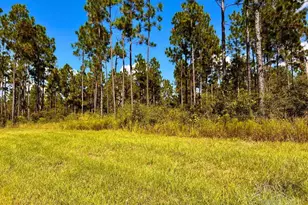 Lot 21 Morgans Branch, Molino, FL 32577 - Photo 1