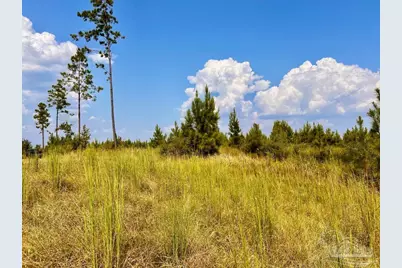 Lot 22 Morgans Branch, Molino, FL 32577 - Photo 1