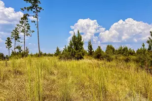 Lot 22 Morgans Branch, Molino, FL 32577 - Photo 1