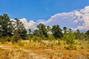 Lot 32 Morgans Branch, Molino, FL 32577 - Photo 1