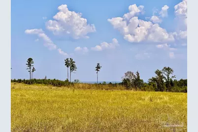 Lot 25 Morgans Branch, Molino, FL 32577 - Photo 1