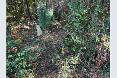 6010 Otter Point Rd, Pensacola, FL 32504 - Photo 1