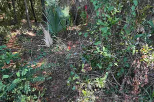 6010 Otter Point Rd, Pensacola, FL 32504 - Photo 1