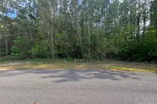 0000 Narrow Rd, Jay, FL 32565 - Photo 1