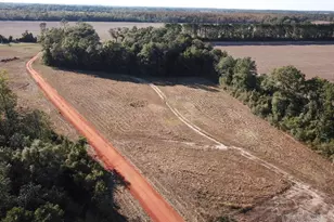 10+ Acres Ard Field Rd, Pace, FL 32571 - Photo 1