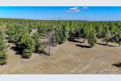 1400 Hwy 97, Molino, FL 32577 - Photo 1