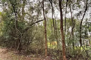 0000 Limit St, Milton, FL 32583 - Photo 1