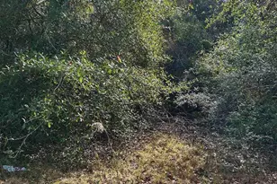 400 Blk N Century Blvd, McDavid, FL 32568 - Photo 1