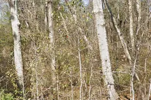 6000 Frank Reeder Rd, Pensacola, FL 32526 - Photo 1