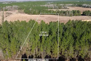 Lot 43 Mineral Springs Rd, Jay, FL 32565 - Photo 1