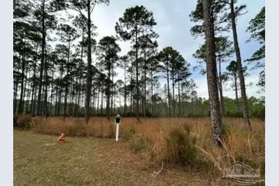 8541 Preservation Dr, Panama City Beach, FL 32413 - Photo 1