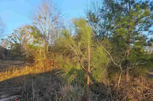 304 S Chipper Rd, Cantonment, FL 32533 - Photo 1