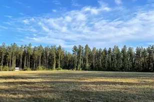 6950 Luth Rd, Molino, FL 32577 - Photo 1