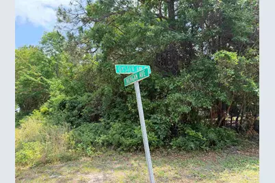 Michigan Ave, Bagdad, FL 32583 - Photo 1