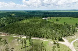 30 Acres Treetop Ridge Dr, Pace, FL 32571 - Photo 1