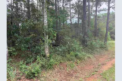 0 N 19th Ave, Milton, FL 32583 - Photo 1