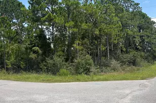Tbd Flamingo Ln, Navarre, FL 32566 - Photo 1