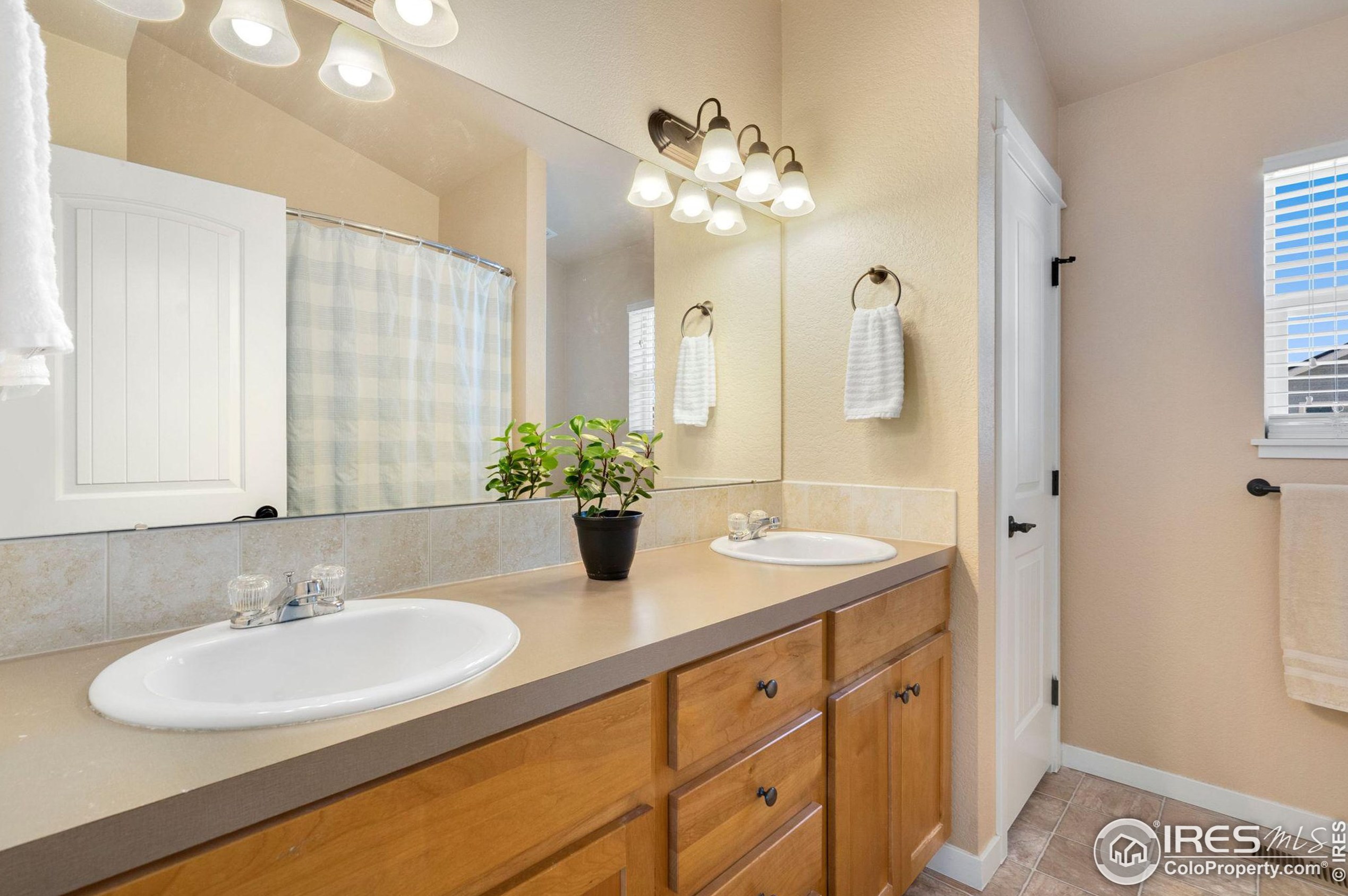 602 Denali Ct, Fort Collins CO  80550-3186 exterior