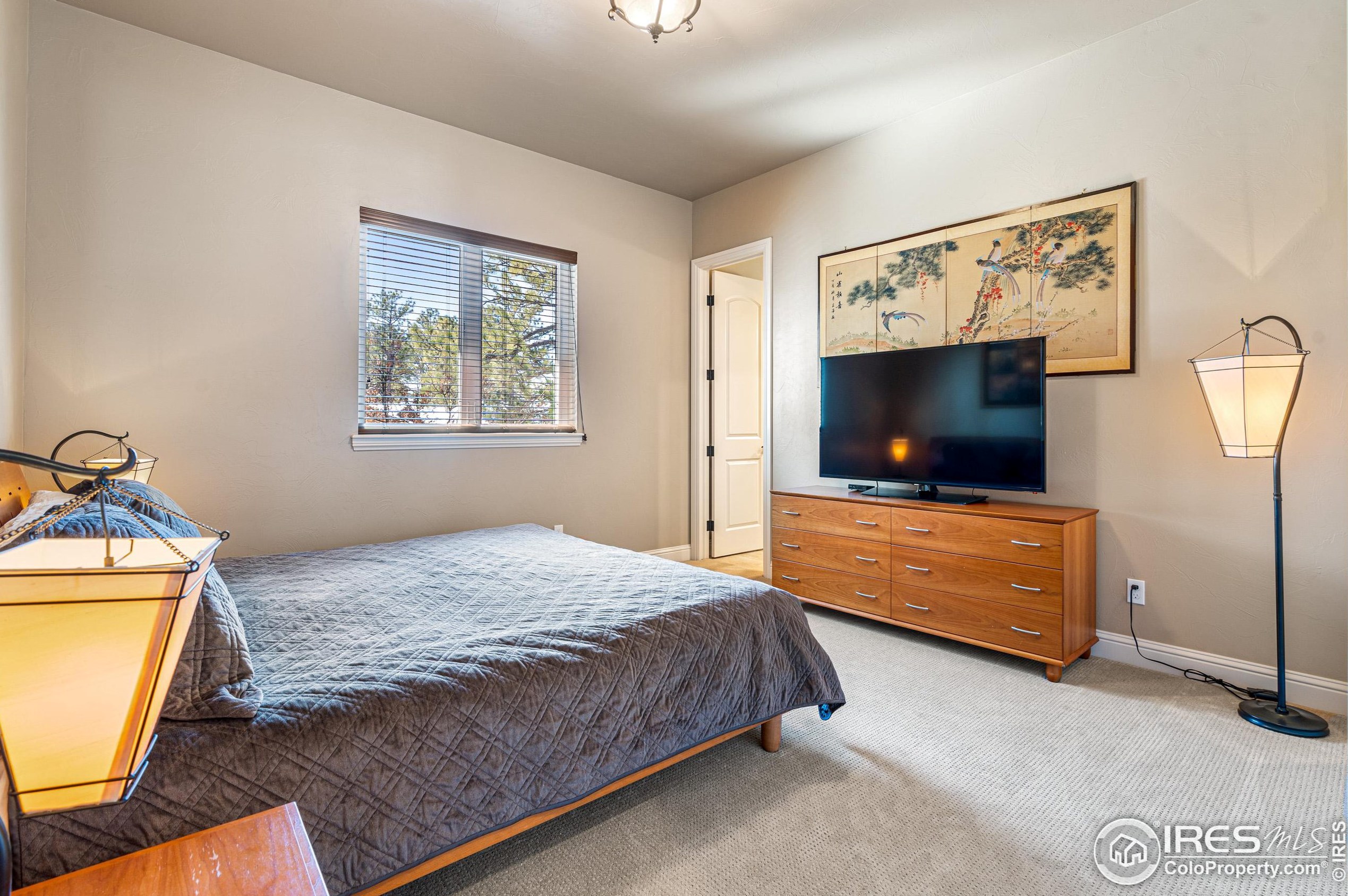 5025 Knobcone Dr, Castle Rock CO 80108-7803 exterior