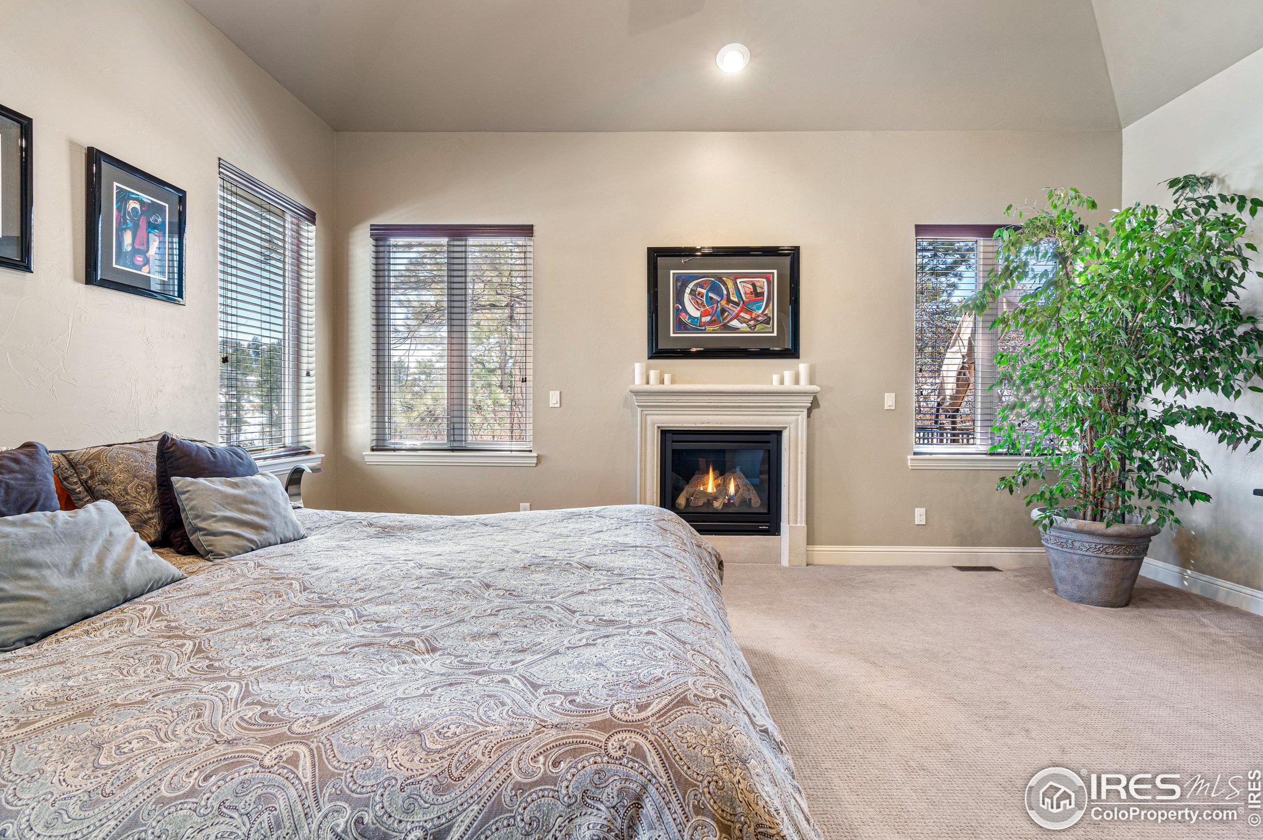 5025 Knobcone Dr, Castle Rock CO 80108-7803 exterior