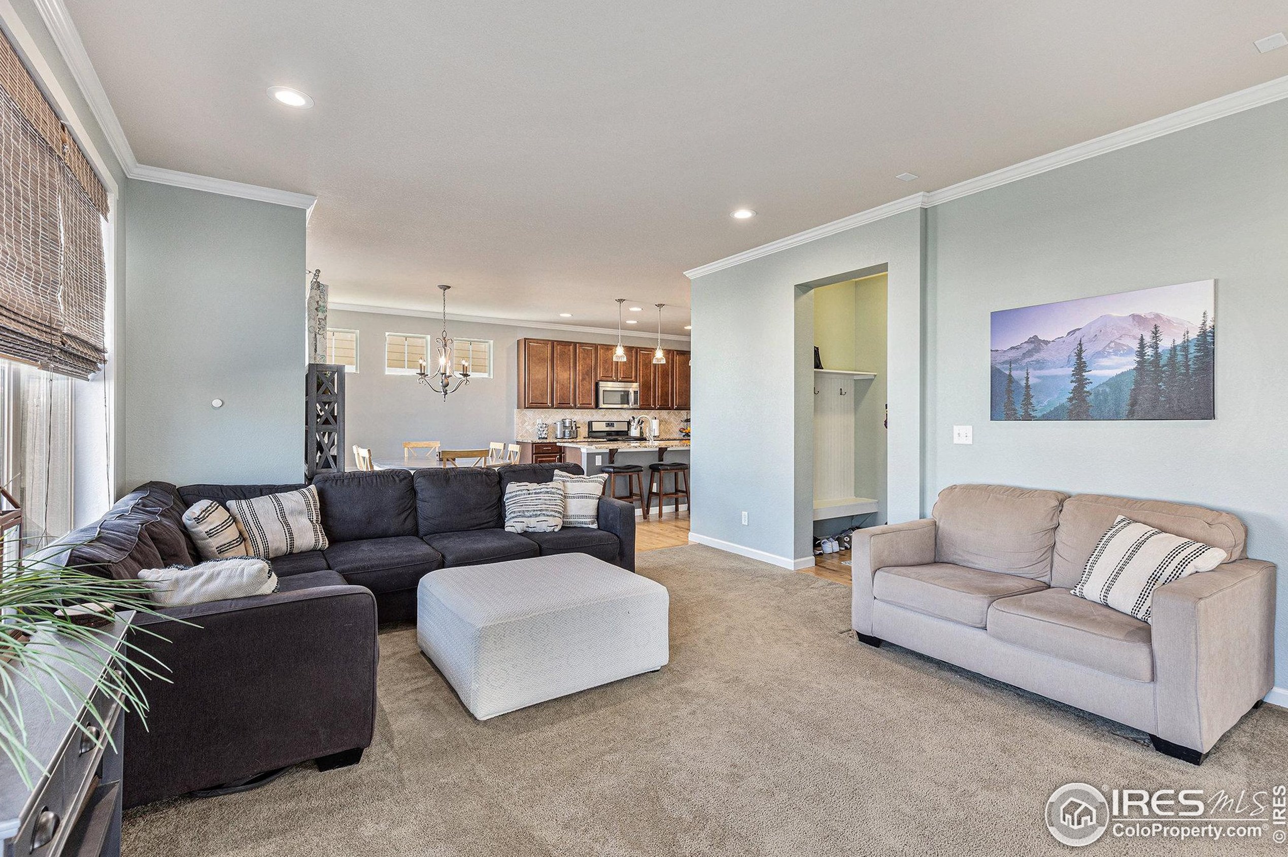 3156 Bryce Dr, Fort Collins CO  80525-3119 exterior