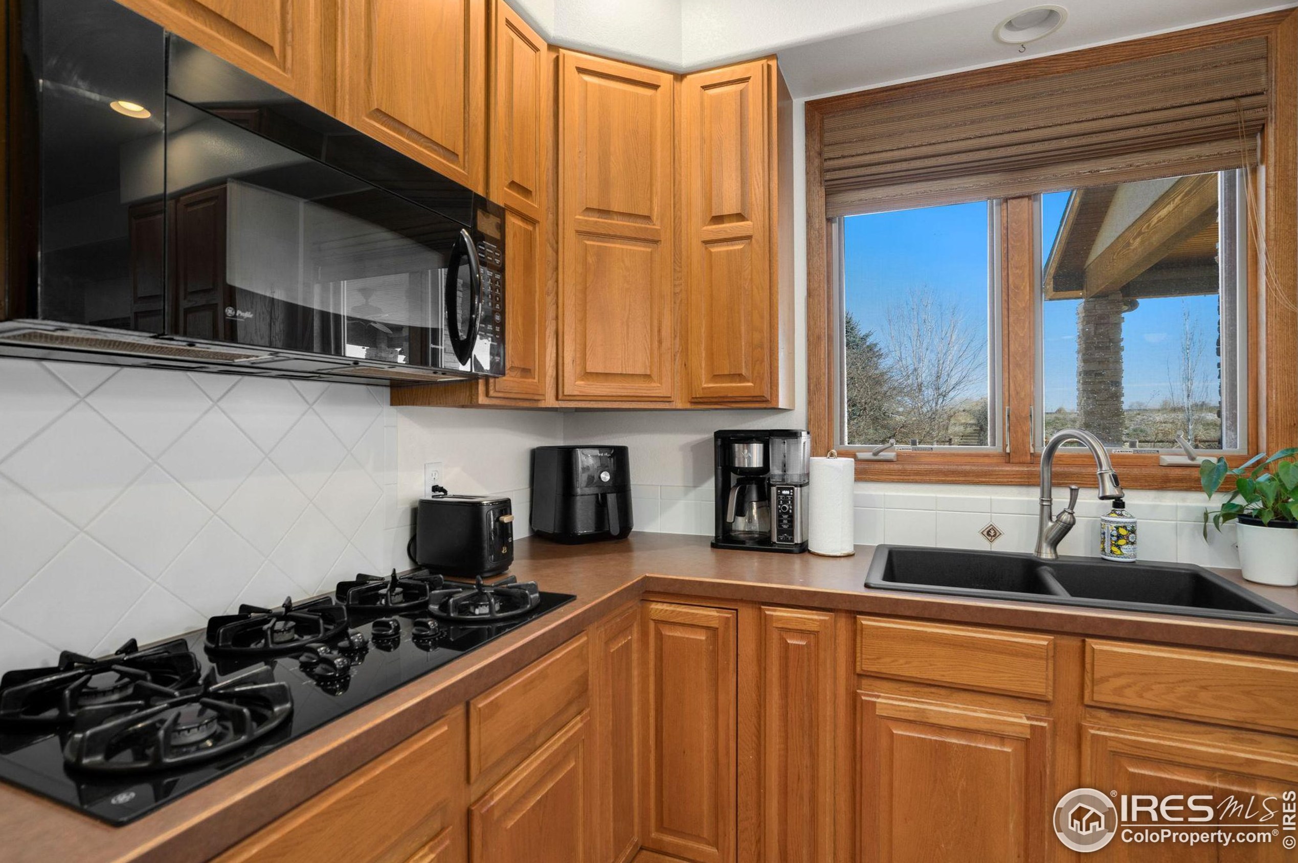 221 Camino Del Mundo, Fort Collins CO  80524-8963 exterior