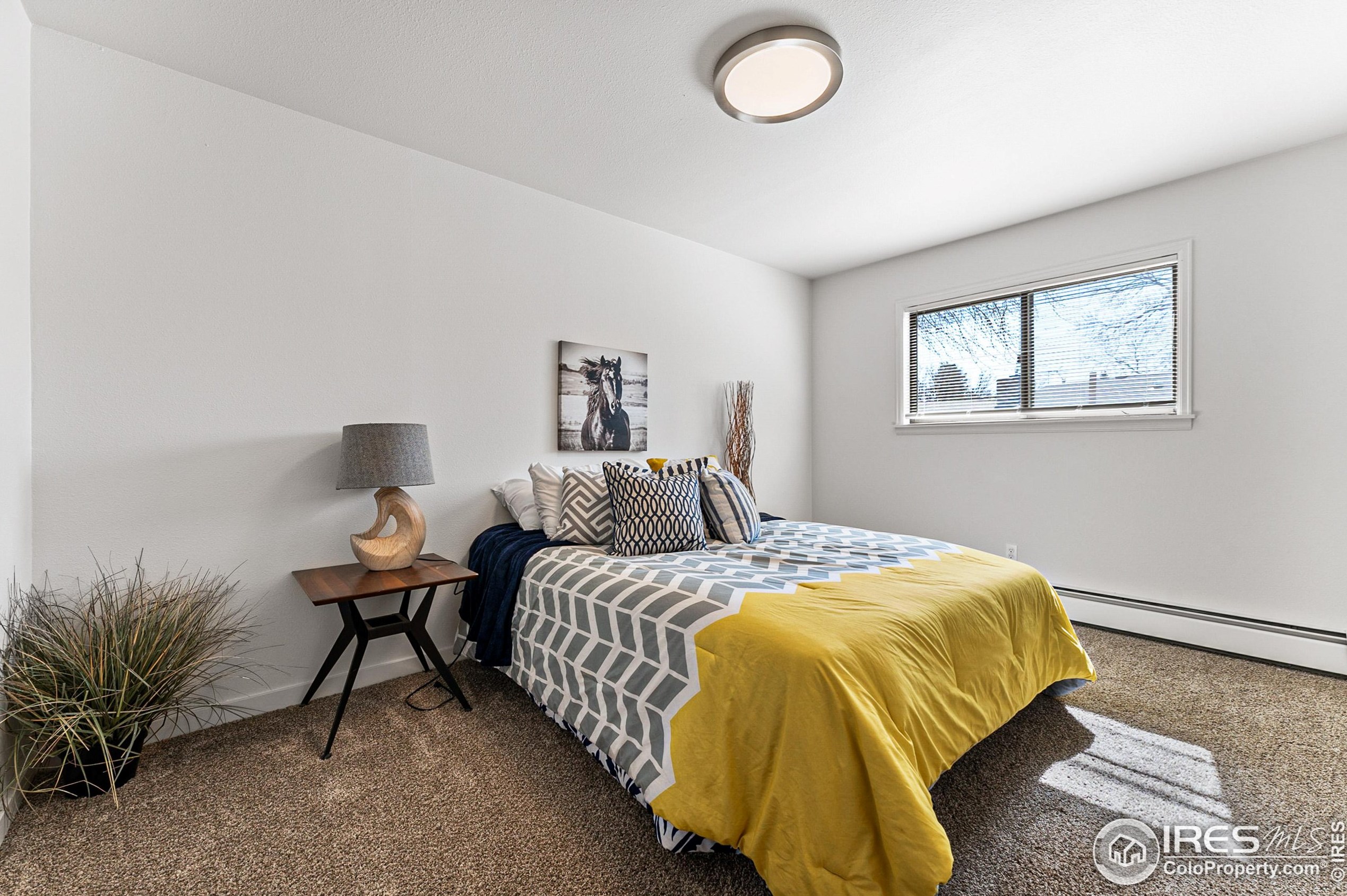 301 Linda Ln, Fort Collins CO  80525-2553 exterior