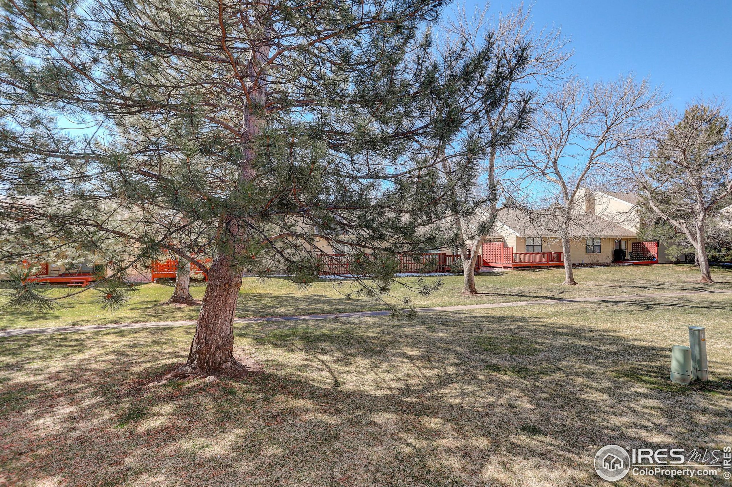 935 Gilgalad Way, Fort Collins CO  80526-1812 exterior