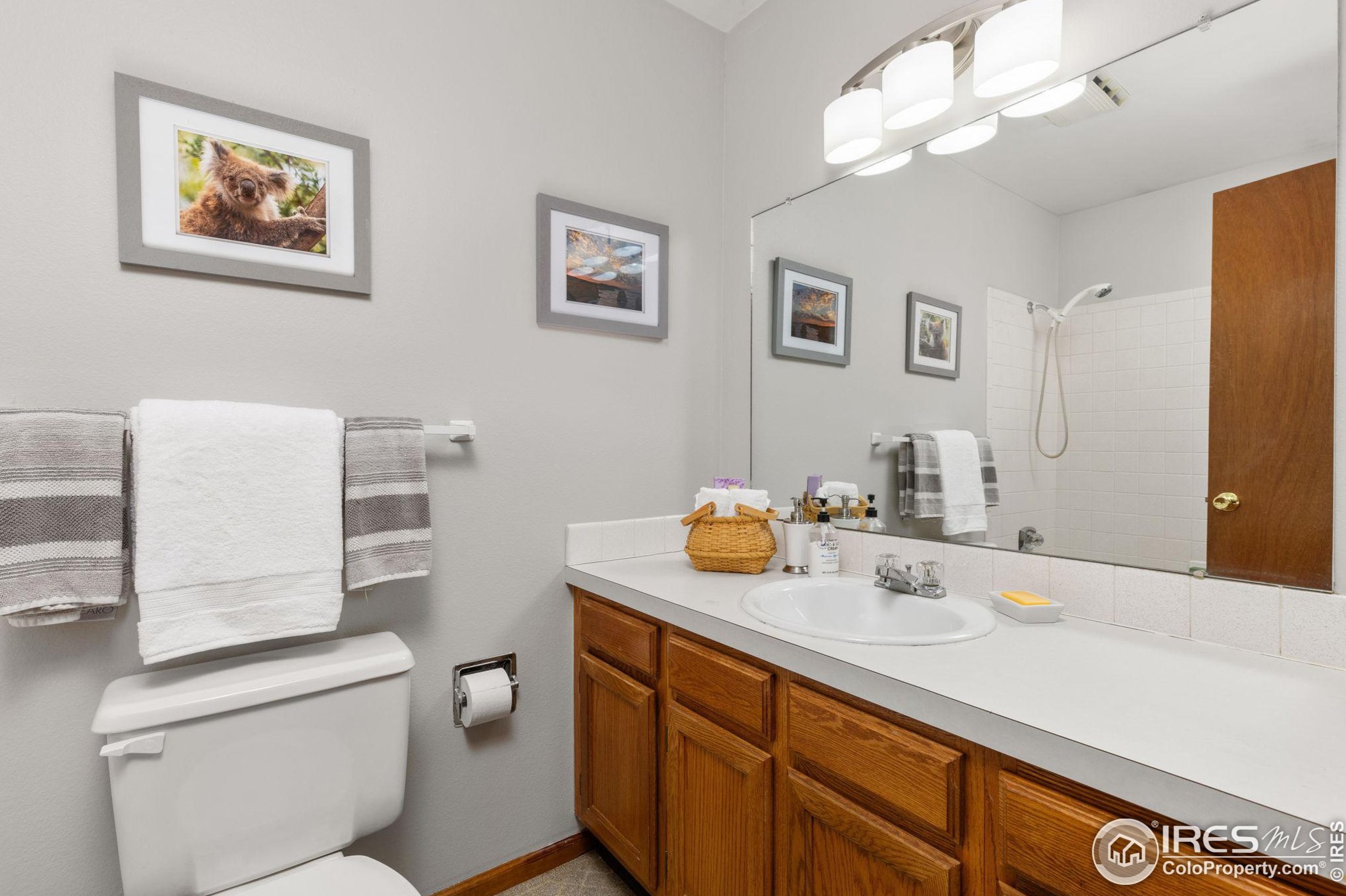 806 Coronado Ave, Fort Collins CO  80526-3111 exterior