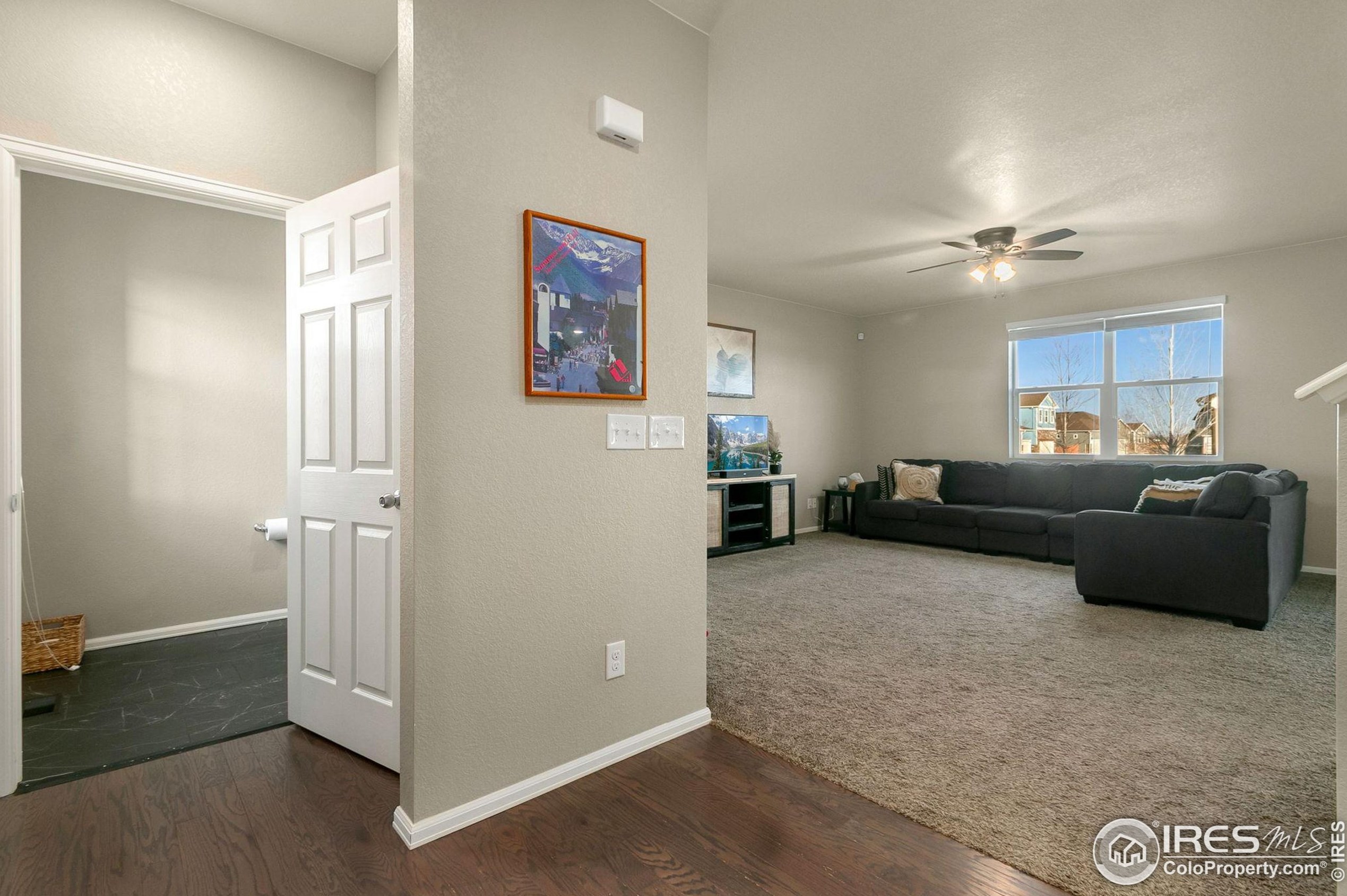 875 Dartford Dr, Fort Collins CO  80550 exterior