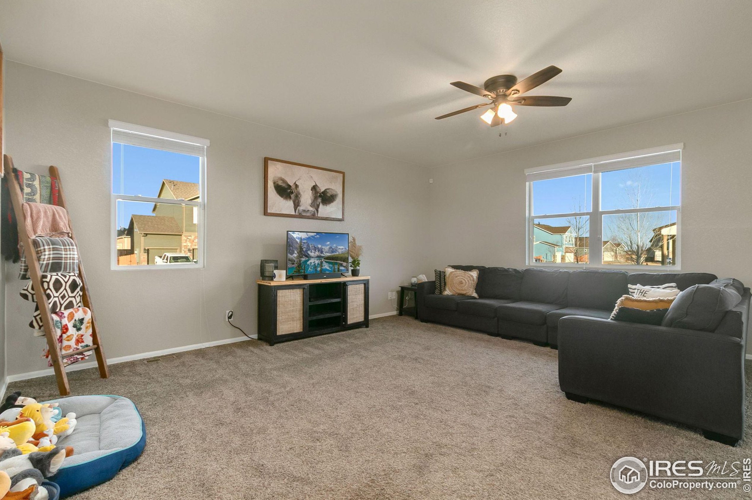 875 Dartford Dr, Fort Collins CO  80550 exterior