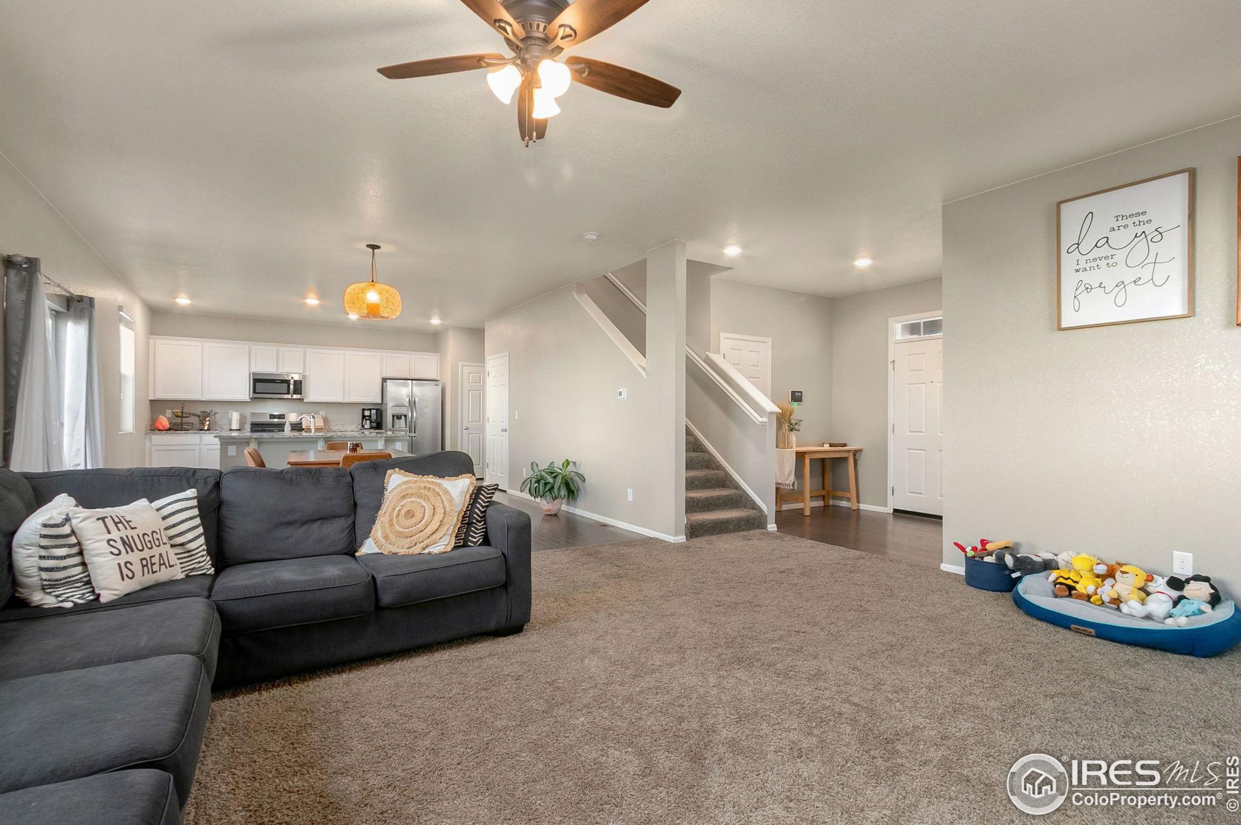 875 Dartford Dr, Fort Collins CO  80550 exterior