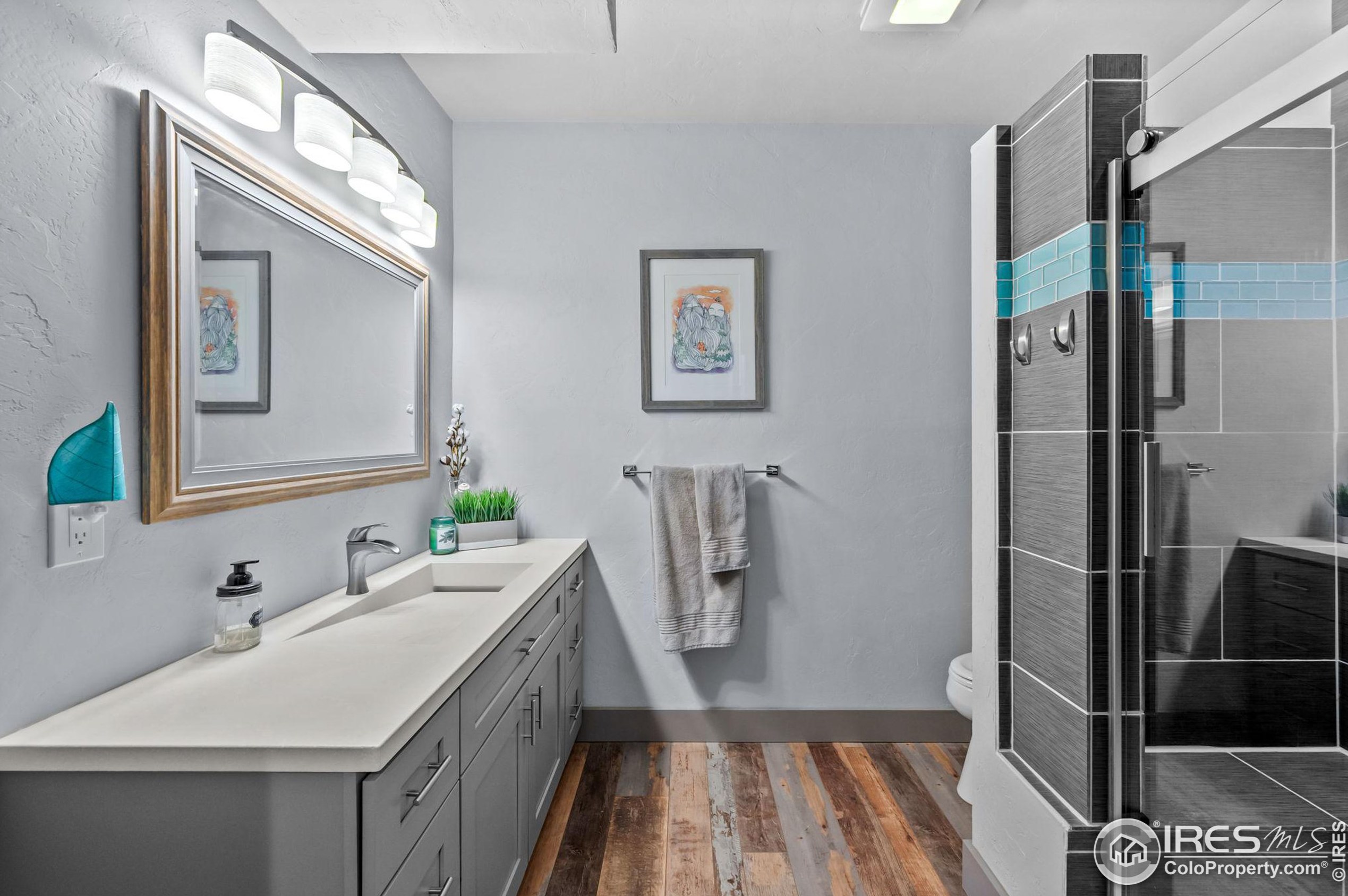 20356 Shady Rdg Rd, Parker CO 80134-6611 exterior