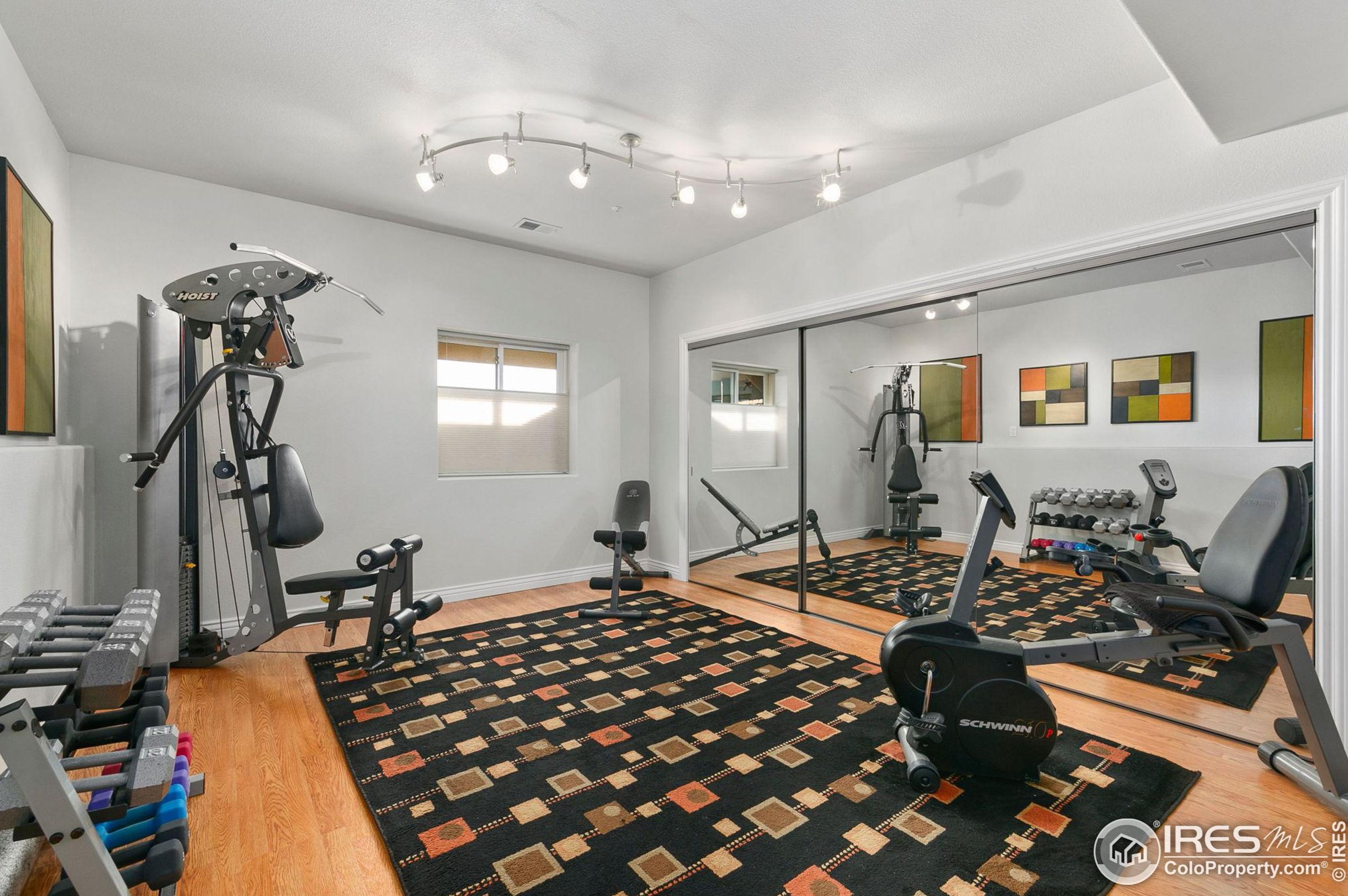 529 Hawks Nest Way, Fort Collins CO  80524-8759 exterior