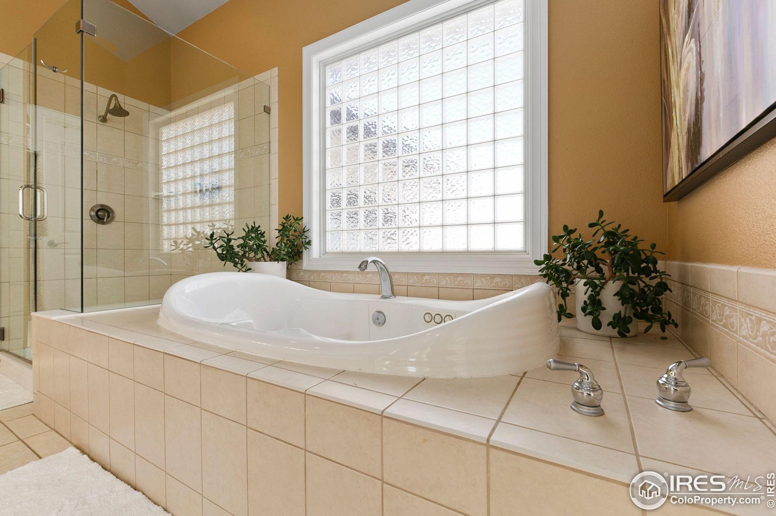 529 Hawks Nest Way, Fort Collins CO  80524-8759 exterior