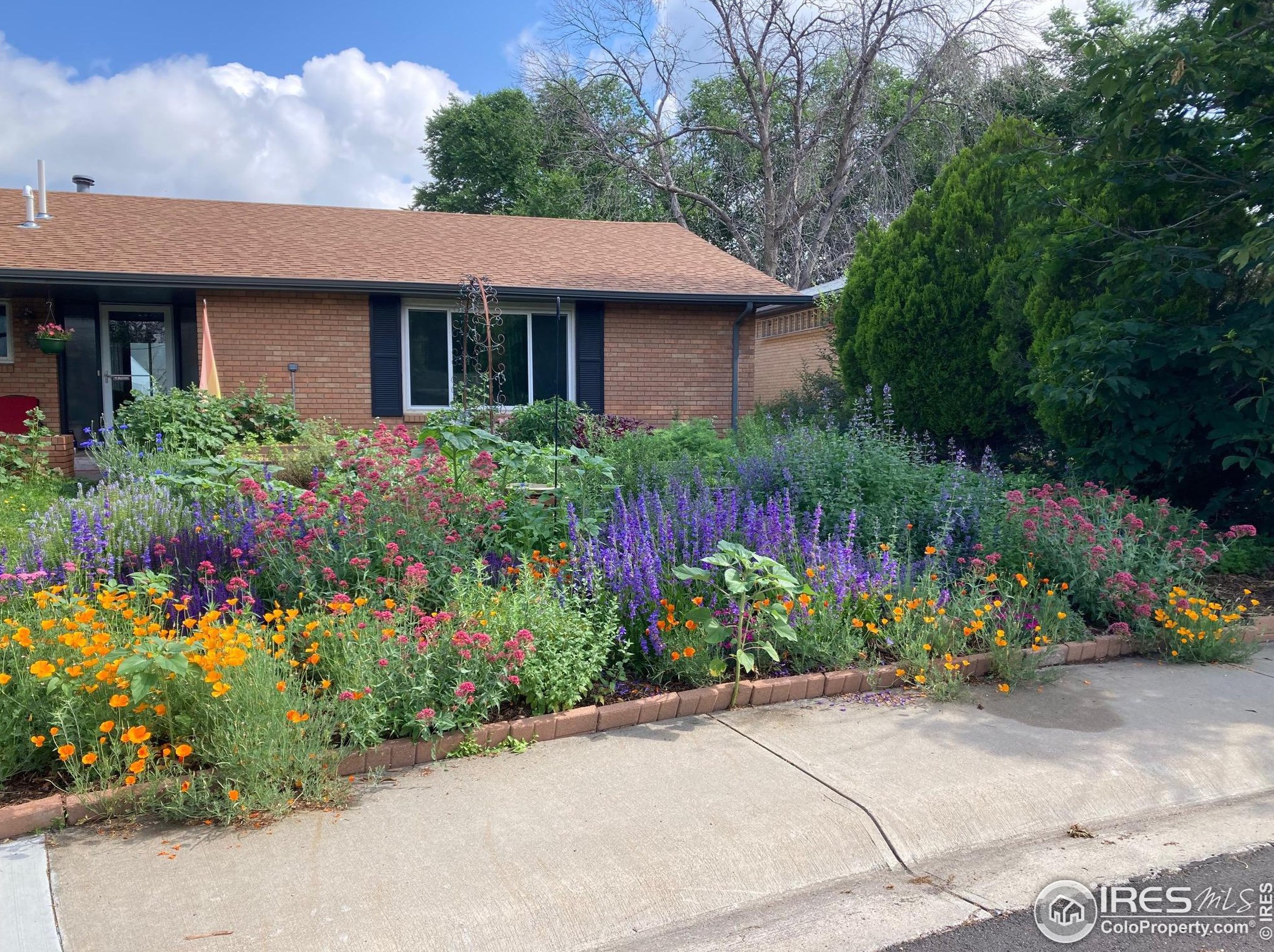 18 University Dr, Longmont, CO 80503